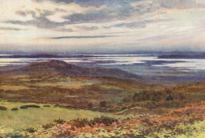 Poole from the Swanage Golf Links by Ernest William Haslehust