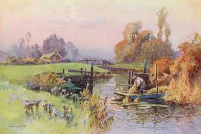 River Thames: Backwater to the Wey by Ernest William Haslehust
