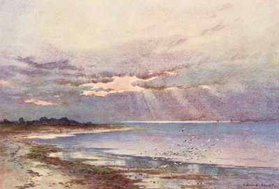 River Thames: Looking Southward to the Nore by Ernest William Haslehust