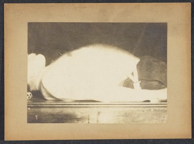 Marey in a Study of Respiration by Etienne Jules Marey