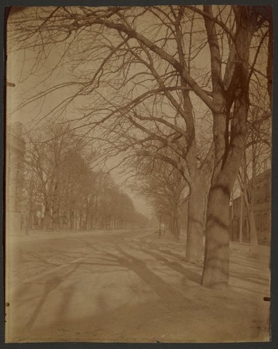 Avenue of the Observatory, 14th District by Eugène Atget