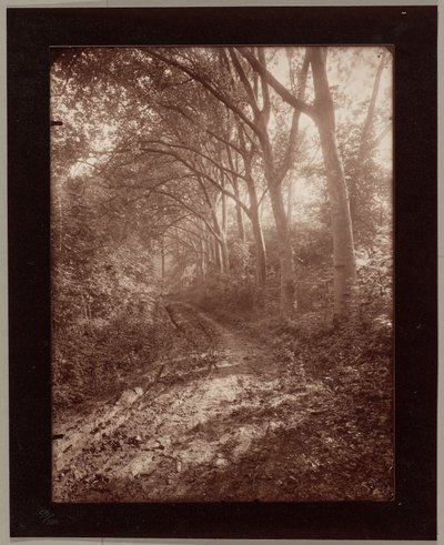 Park of Sceaux by Eugène Atget