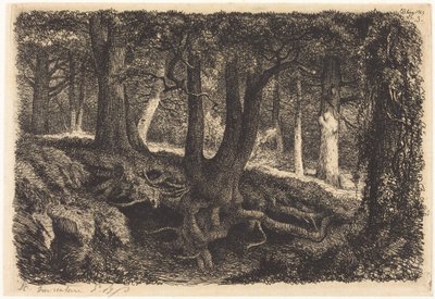 Tree with Roots by Eugene Bléry