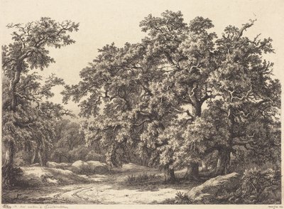 Oaks by Eugene Bléry