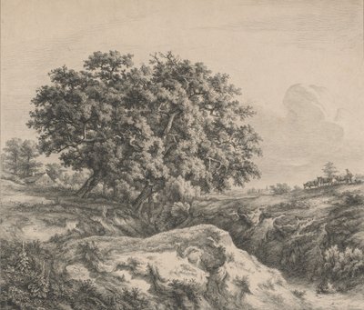 Oak Tree by a Ravine, 1845 by Eugene Bléry
