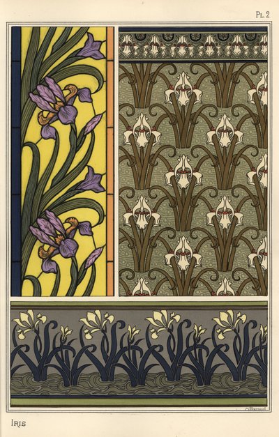 The Iris in Various Patterns by Eugene Grasset