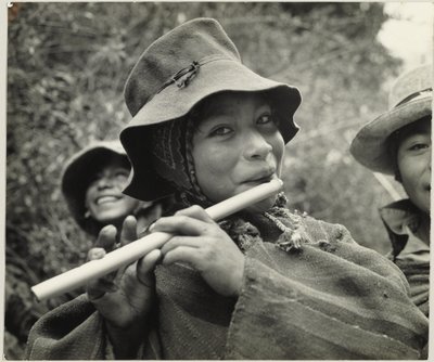 Peruvian Flute by Eugene V. Harris