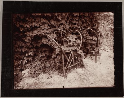 Hops by Eugène Atget