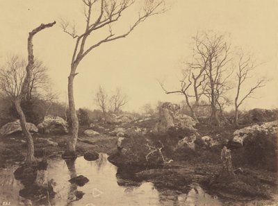 Belle Croix by Eugène Cuvelier