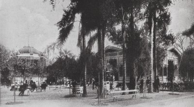 Brazil: São Paulo, Jardim da Luz by European Photographer