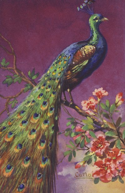 A Peacock Sitting in a Tree with Flowers by European School