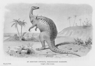 An Armoured Dinosaur, Scelidosaurus Harrisoni by European School