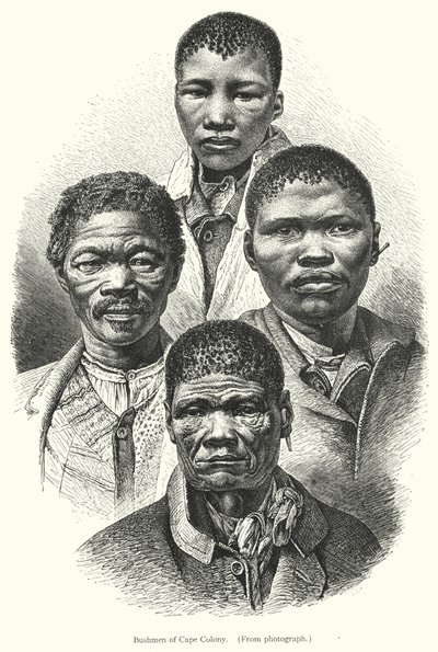 Bushmen of Cape Colony by European School