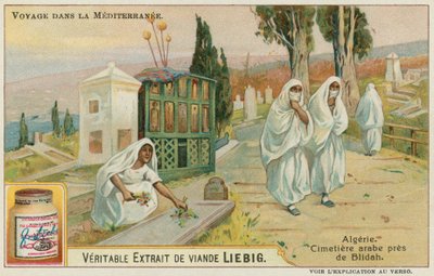 Cemetery Near Blida in Algeria by European School