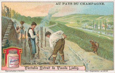 Champagne, Liebig Card, Early 20th Century by European School