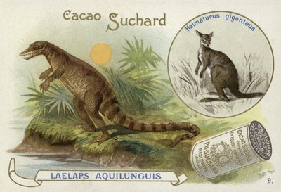 Dryptosaurus and kangaroo by European School