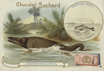 Ichthyosaur and common dolphin by European School