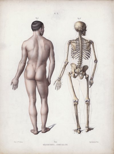 Man standing, back view by European School