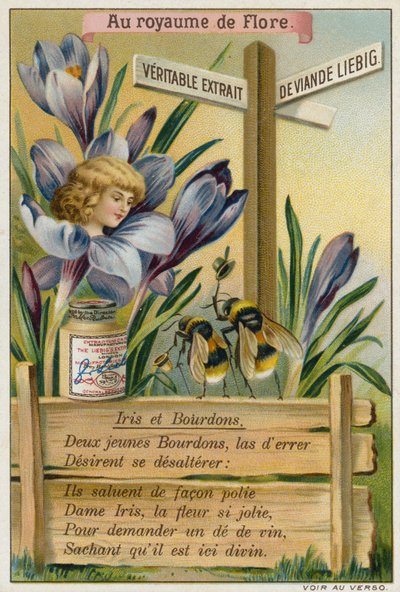 Iris and bumblebees by European School