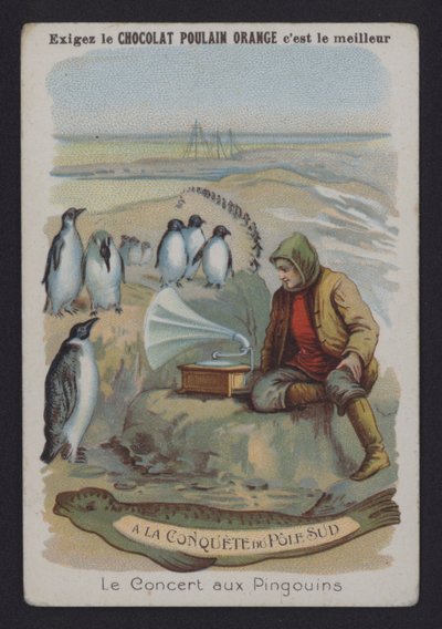 The Penguin Concert by European School