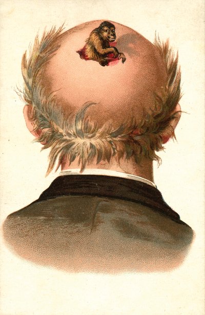Male Head - with Monkey Climbing Out by European School