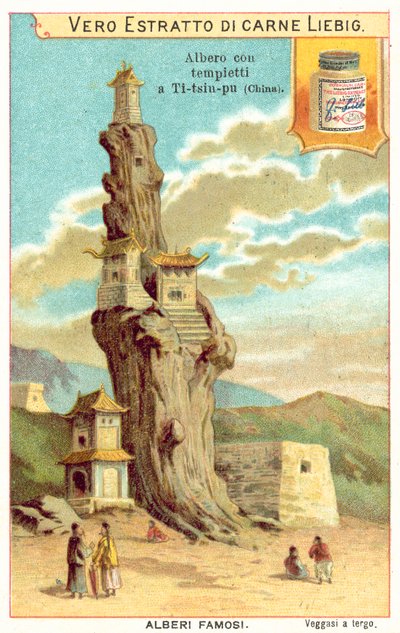 Old tree with temples on it in China by European School