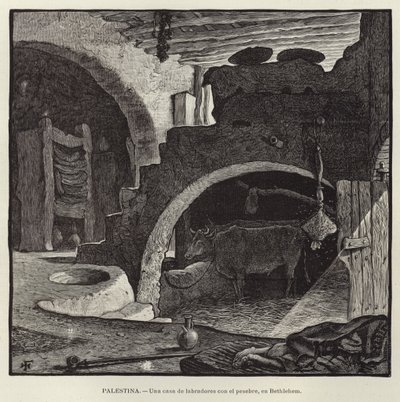 Palestine, A Farmer