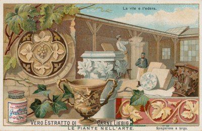 Plants in Art by European School