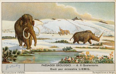 Prehistoric World by European School