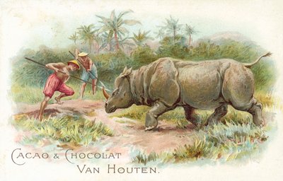 Rhinoceros under Attack by European School