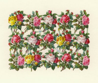 Roses by European School