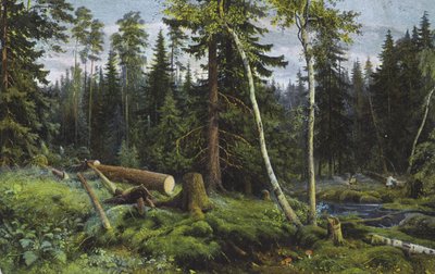 Scene in a Forest with Felled Trees by European School