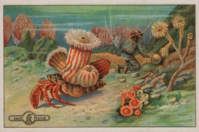 Scene on the Sea Bed by European School