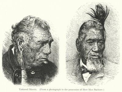 Tattooed Maoris by European School