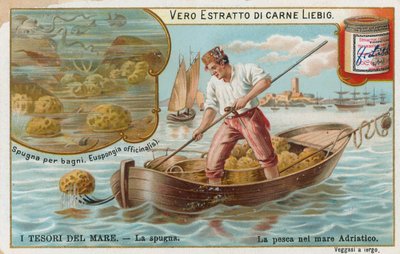 Treasures of the Sea by European School