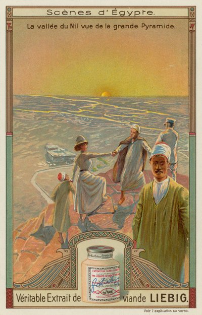 View of the Nile valley from the Great Pyramid by European School