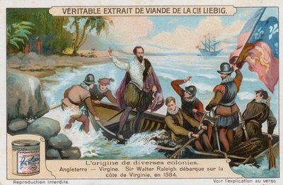 Virginia by European School