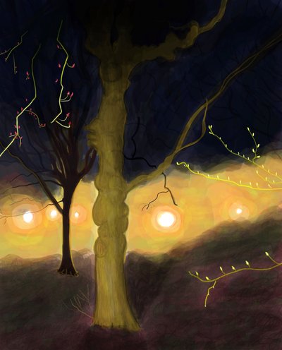 5:20 A.M. Prospect Park, Brooklyn by Evan Sklar