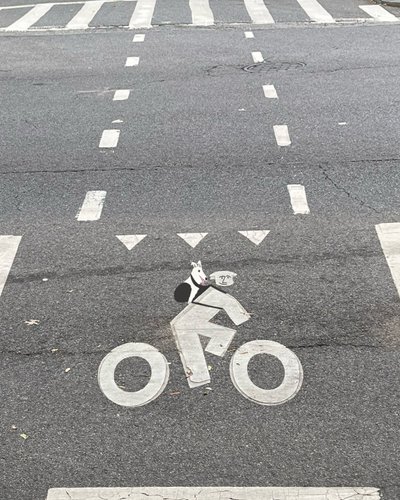 Bike Lane Signage On Street by Evan Sklar