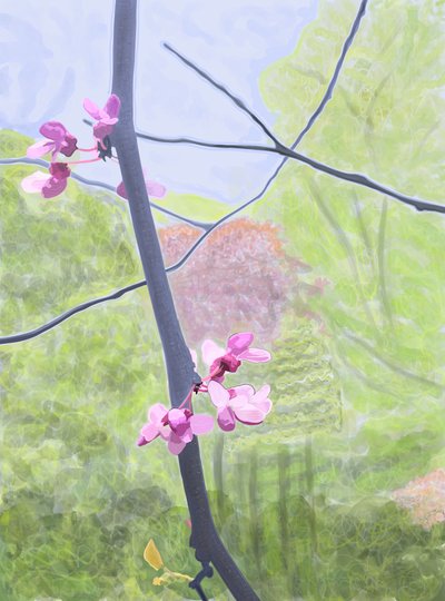 Branch and Blossom by Evan Sklar