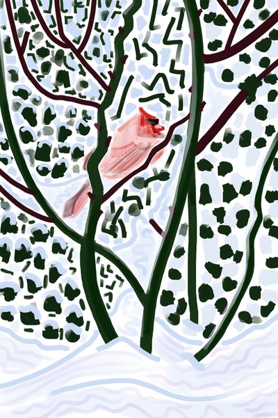 Cardinal In Snow by Evan Sklar