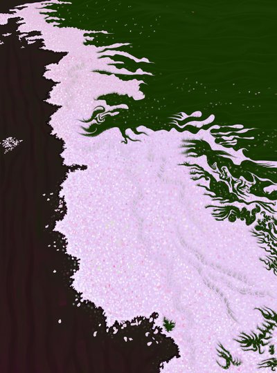 Cherry Blossom Petals On Ground by Evan Sklar