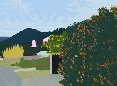 Chiriqui, Panama, c.2020-24 by Evan Sklar