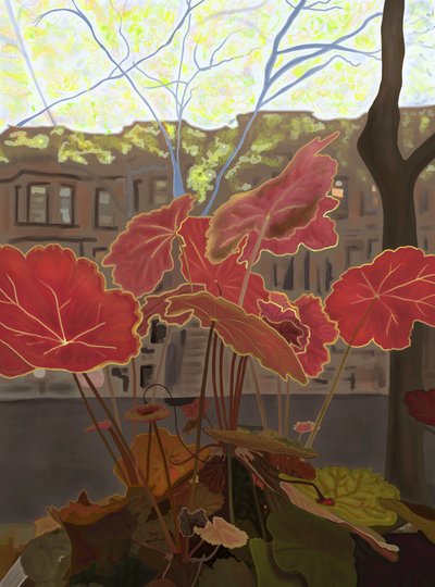 Coral Bells in Window Planter by Evan Sklar