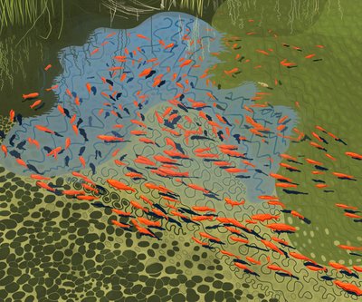 Koi Pond at Botanical Garden by Evan Sklar