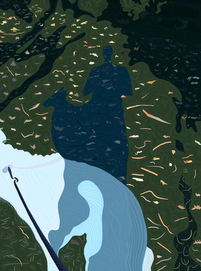 Dog, Leaves, Man by Evan Sklar
