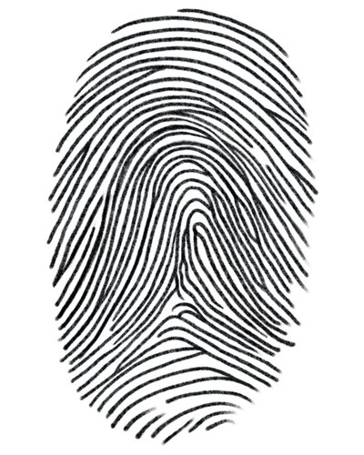 Drawing of a Fingerprint, Brooklyn by Evan Sklar