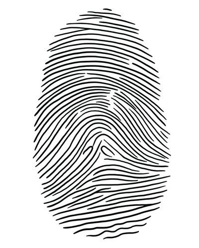 Drawing of a Fingerprint, Brooklyn by Evan Sklar