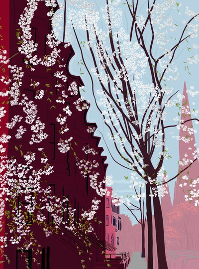Garfield Place, Spring, Brooklyn by Evan Sklar