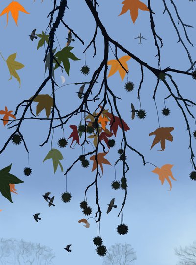 Gum Tree, Birds and Moon, Brooklyn by Evan Sklar